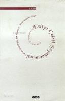 Evliya Çelebi Seyahatnâmesi 2. Kitap; Topkapı Sarayı Bağdat 304 Yazmasının Transkripsiyonu