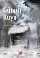 Gümüş Kuyu; Taşlar Krallığı Üçlemesi 2