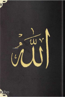 Kadife Ciltli Mealli Yasin Cüzü (Siyah, Nakışlı, Orta Boy )