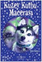 Kuzey Kutbu Macerası