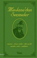 Mevlana'dan Seçmeler