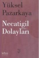 Necatigil Dolayları