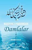 Nübüvvet Pınarından Damlalar