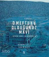 O Meftunu Olduğunuz Mavi; Devrim Erbil'in İstanbul'u