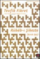 Rübâb-ı Şikeste; Kırık Saz