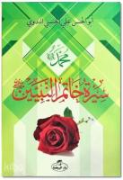 Siretü Hatemi'n Nebiyyin (Son Peygamber Arapça) 2 Renk B.Boy