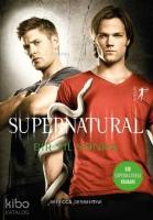 Supernatual - Bir Yıl Sonra; Paranormal Kötülüğün Peşindeki İki Kardeş