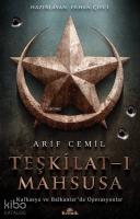 Teşkilat-ı Mahsusa; Kafkasya ve Balkanlar'da Operasyonlar