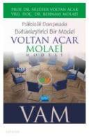 Voltan Acar - Molaei (Vam) Modeli; Psikolojik Danışmada Bütünleştirici Bir Model