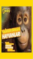 Yağmur Ormanı Hayvanları