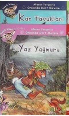 Afacan Tavşanla Ormanda Dört Mevsim / Yaz Yağmuru