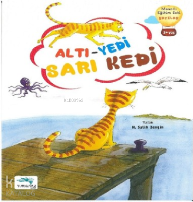 Altı Yedi Sarı Kedi Salih Zengin