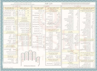 Avamil Şeması Renkli Kolektif