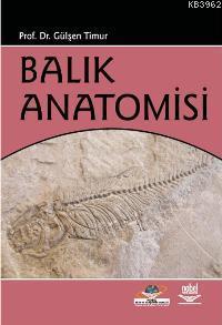 Balık Anatomisi