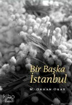 Bir Başka İstanbul