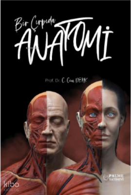 Bir Çırpıda Anatomi