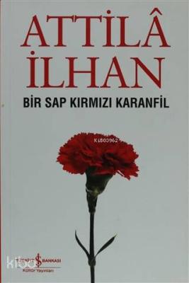 Bir Sap Kırmızı Karanfil Cumhuriyet Söyleşileri (Eylül '96 - Mart '97)
