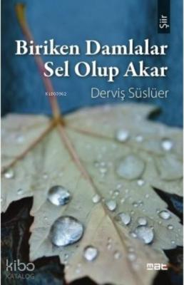 Biriken Damlalar Sel Olup Akar Derviş Süslüer