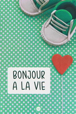 Bonjour A La Vie (Hayata Merhaba) Fransızca Kolektif