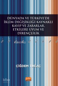 Dünyada ve Türkiye’de İklim Değişikliği Kaynaklı Kayıp ve Zararlar, Etkilere Uyum ve Dirençlilik
