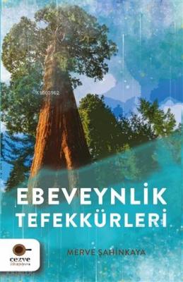 Ebeveynlik Tefekkürleri Merve Şahinkaya