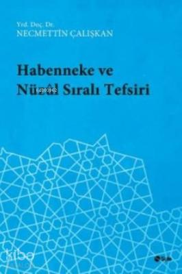 Habenneke ve Nüzul Sirali Tefsiri