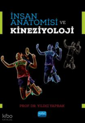İnsan Anatomisi ve Kineziyoloji