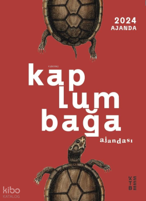 Kaplumbağa Ajandası Kolektif