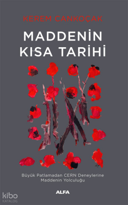 Maddenin Kısa Tarihi;Büyük Patlamadan Cern Deneylerine Maddenin Yolculuğu