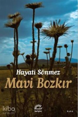Mavi Bozkır