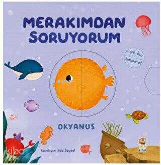 Merakımdan Soruyorum - Okyanus