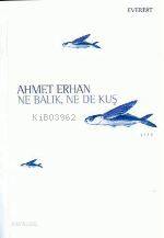 Ne Balık Ne De Kuş Ahmet Erhan