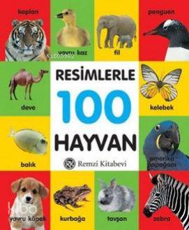 Resimlerle 100 Hayvan - Küçük Boy
