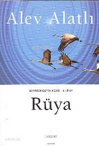 Rüya; Schrödınger'in Kedisi 2. Kitap