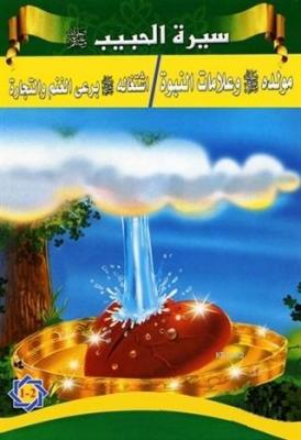 Siretü'l-Habib - Peygamberimizin Hayatı (5 Kitap Takım) Tacettin Uzun