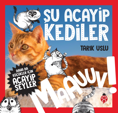 Şu Acayip Kediler;Daha da Küçükler İçin
