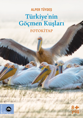 Türkiye'nin Göçmen Kuşları - Fotokitap
