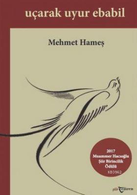 Uçarak Uyur Ebabil Mehmet Hameş