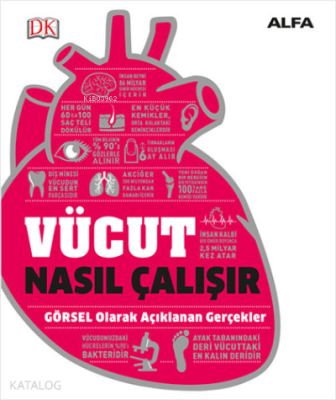 Vücut Nasıl Çalışır