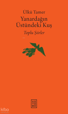 Yanardağın Üstündeki Kuş;Yanardağın Üstündeki Kuş Ülkü Tamer